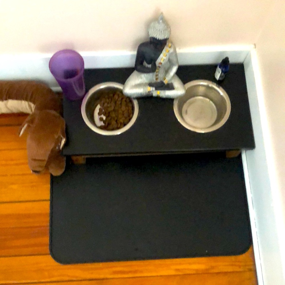 Large Dog Placement Mat
